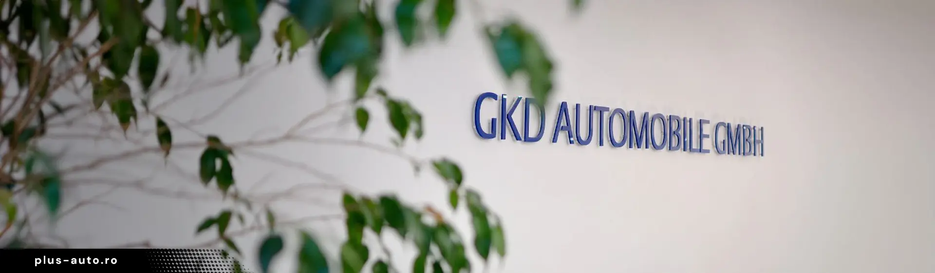 TOYOTA RAV4 Hybrid 4x2 Team Deutschland Navi LED Kamera