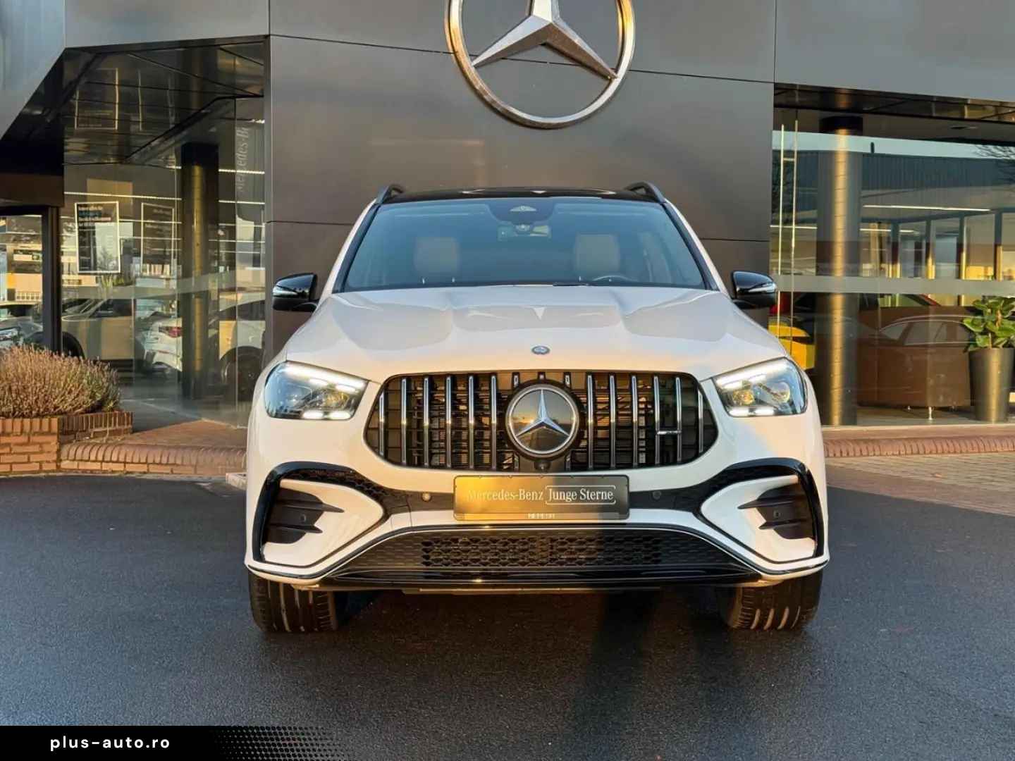 MERCEDES-BENZ GLE 53 AMG 4M  AMG Night AHK Pano 22 Zoll 360
