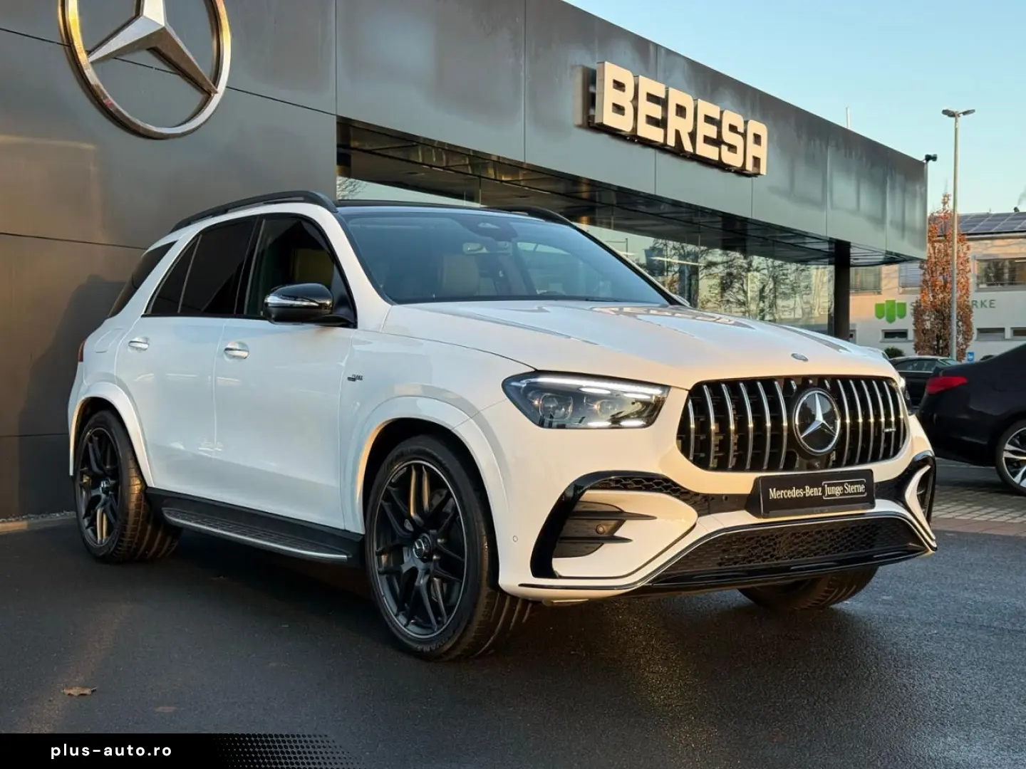 MERCEDES-BENZ GLE 53 AMG 4M  AMG Night AHK Pano 22 Zoll 360