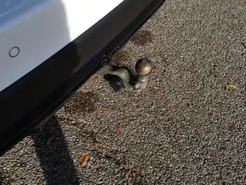 MERCEDES-BENZ GLC 300 e 4M AMG AHK Burmester LED SHZ