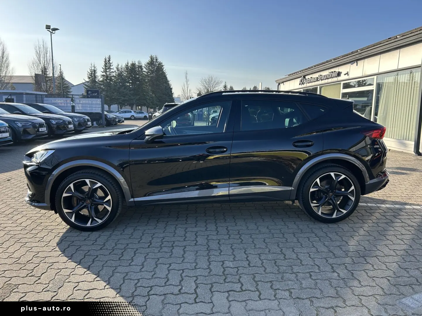 CUPRA Formentor VZ 4Drive 2.0 TSI DSG Kamera Beats DCC