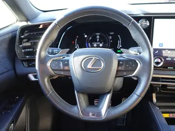 LEXUS RX 500h F SPORT  Techpaket  Relaxfähig