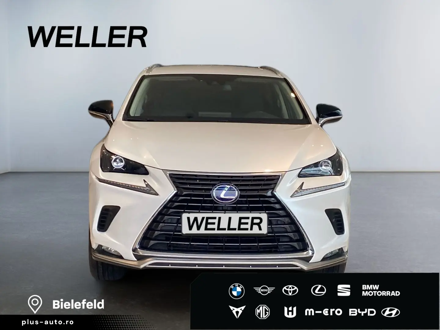 LEXUS NX 300h Style Edition  Bi-LED CAM SHZ CarPlay PD