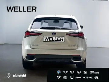 LEXUS NX 300h Style Edition  Bi-LED CAM SHZ CarPlay PD