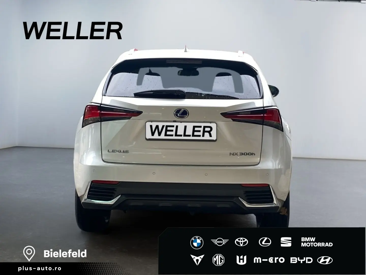 LEXUS NX 300h Style Edition  Bi-LED CAM SHZ CarPlay PD