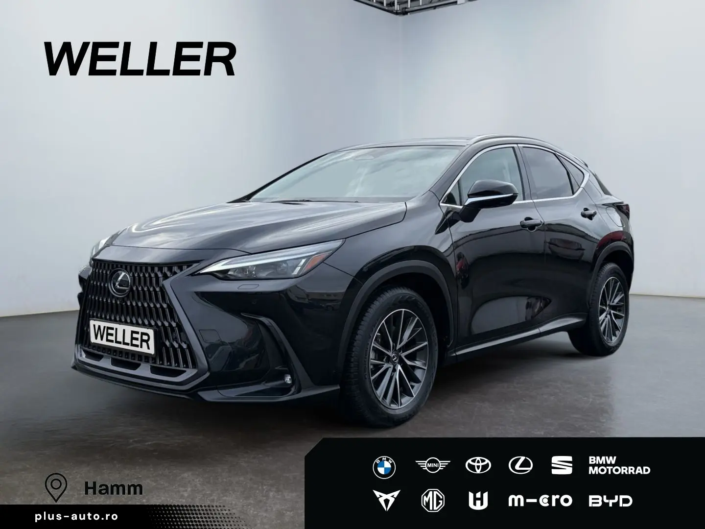 LEXUS NX 350h Executive Line  Bi-LED ACC 360  el Heck