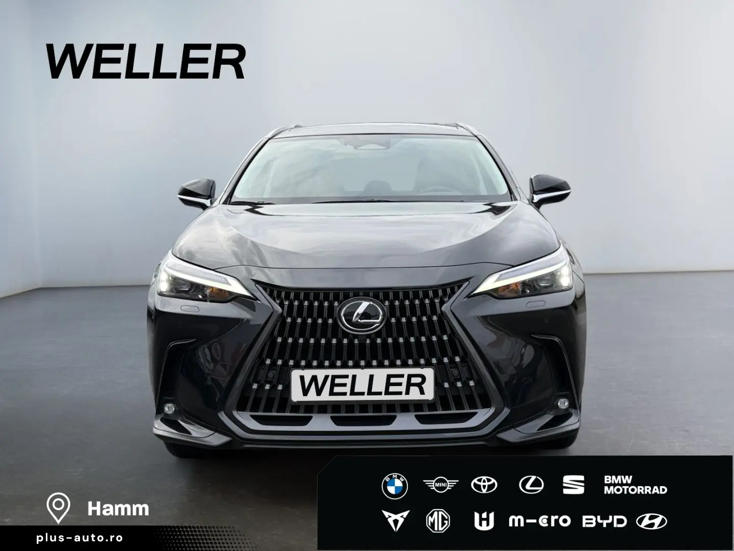 LEXUS NX 350h Executive Line  Bi-LED ACC 360  el Heck