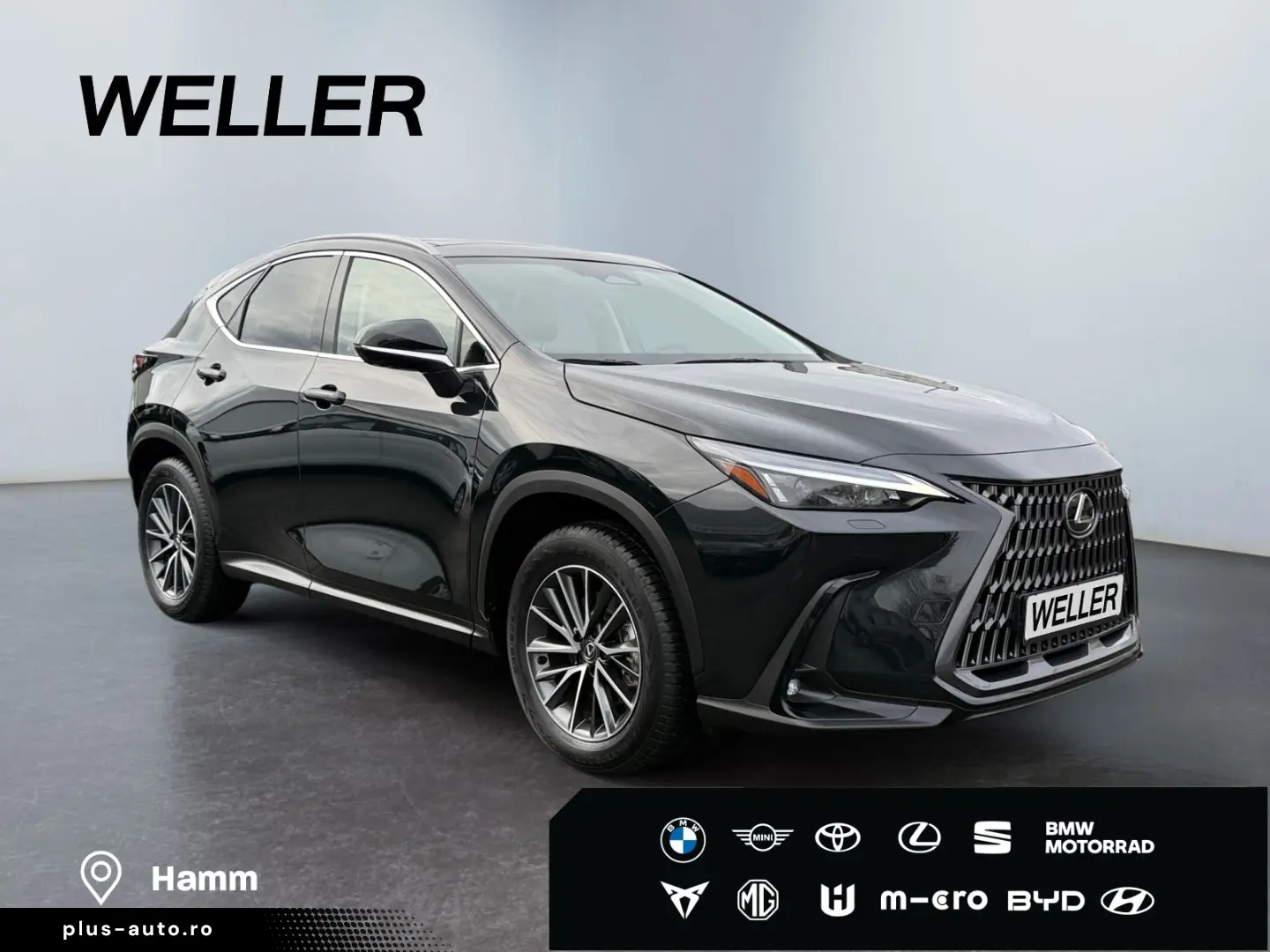 LEXUS NX 350h Executive Line  Bi-LED ACC 360  el Heck