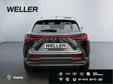 LEXUS NX 350h Executive Line  Bi-LED ACC 360  el Heck