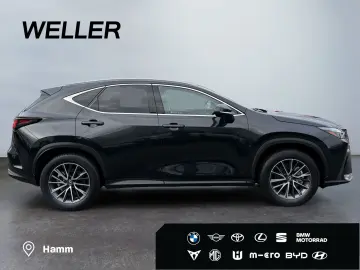 LEXUS NX 350h Executive Line  Bi-LED ACC 360  el Heck
