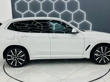 BMW X3 2019 2.0D E6 4x4 Garantie 12 Luni Rate Avans 0 Doar C