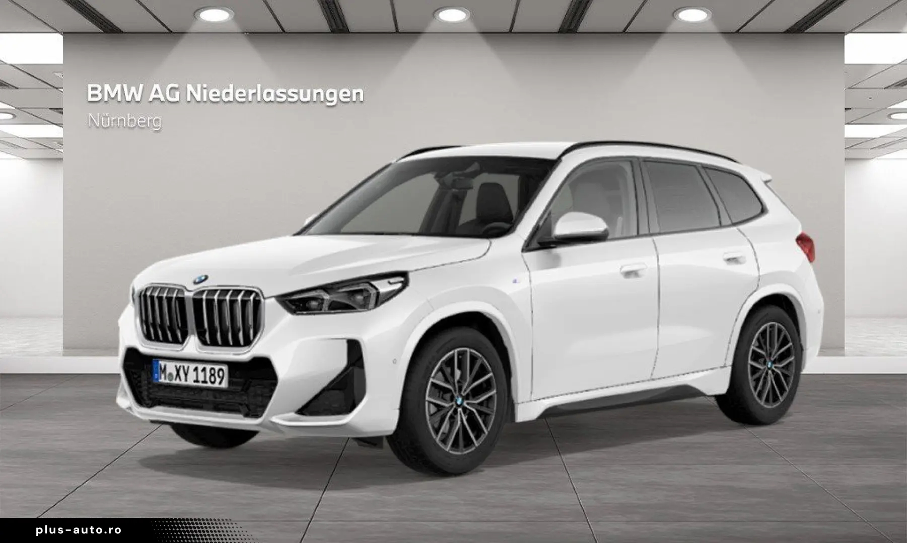 BMW X1 xDrive20d M Sport AHK Driv.Assist  Harman K