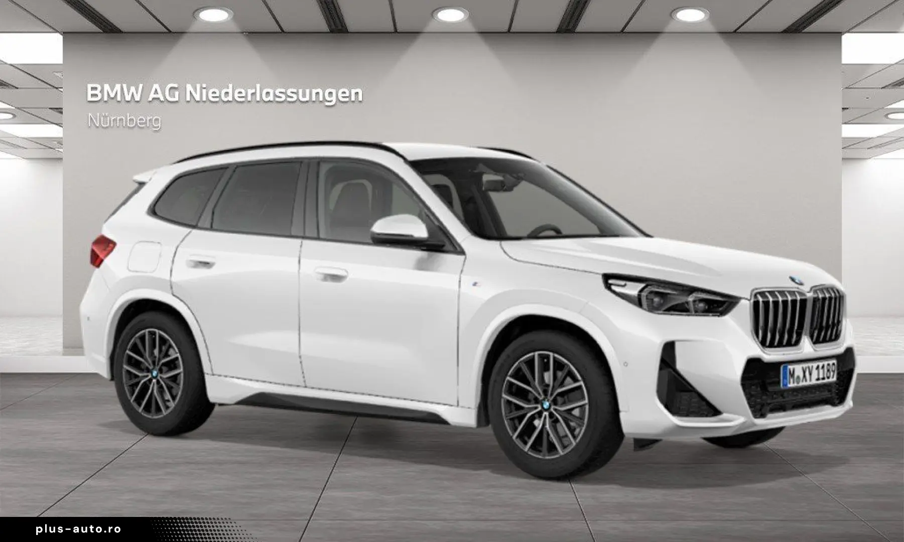 BMW X1 xDrive20d M Sport AHK Driv.Assist  Harman K