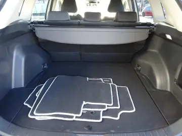 TOYOTA RAV 4 2.5 4x4 Hybrid Team Deutschland AHK