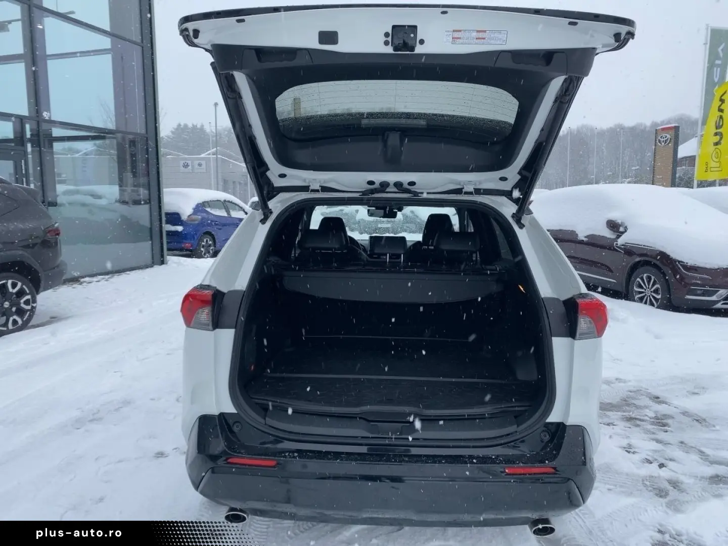 TOYOTA RAV 4 Plug-In Hybrid Technik-und Style-Paket AWD