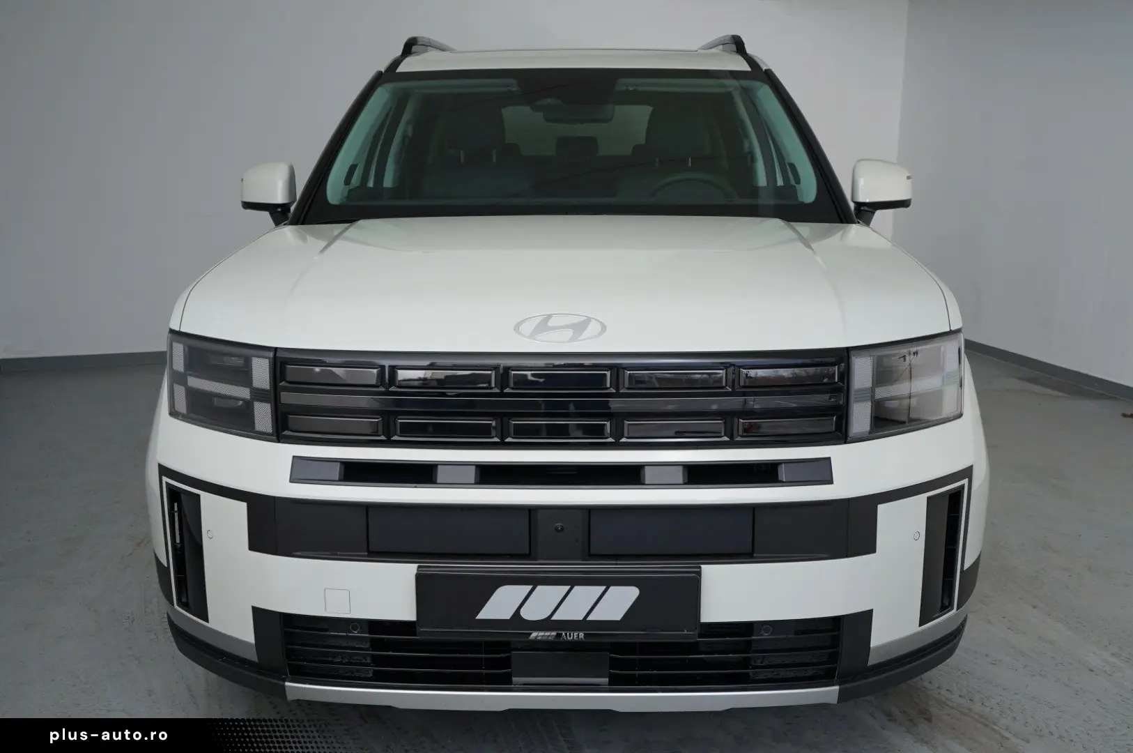 HYUNDAI SANTA FE HEV