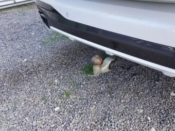 BMW X7 M50i HeadUp Laser AHK SkyLounge Aktivlenkung