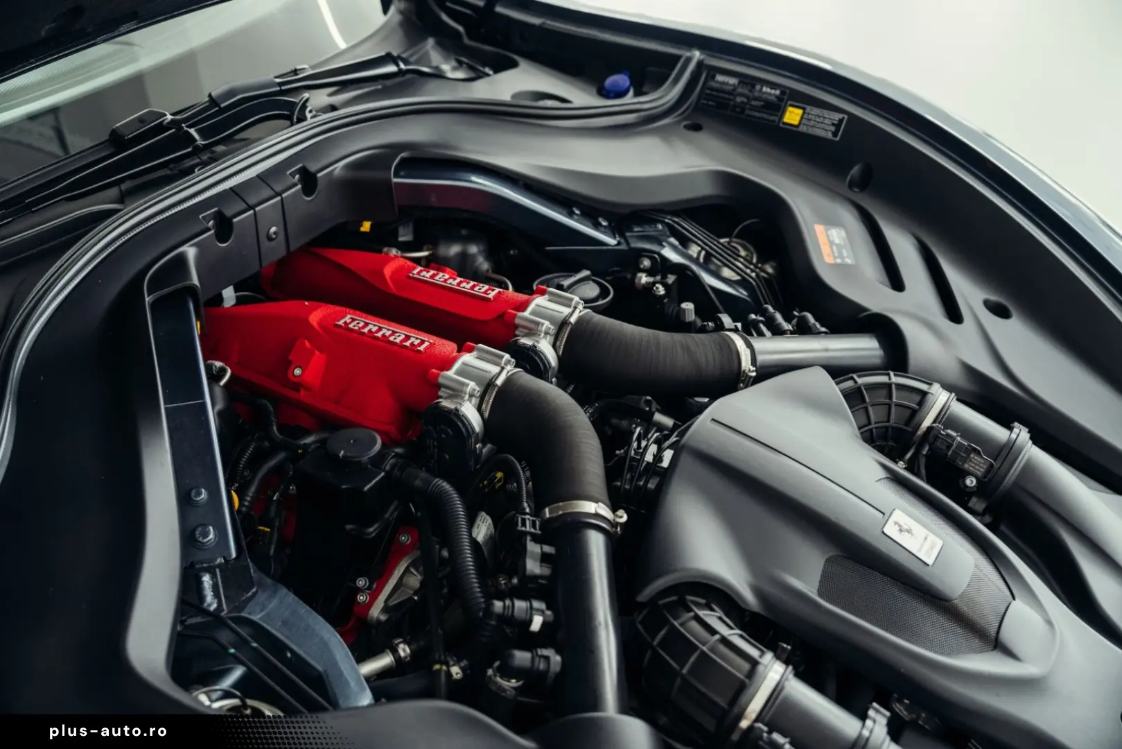 FERRARI Roma  Blu Roma  Crema 3997  Magneride