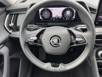 SKODA Kodiaq Selection 2 0 TDI 142 kW DSG 4x4