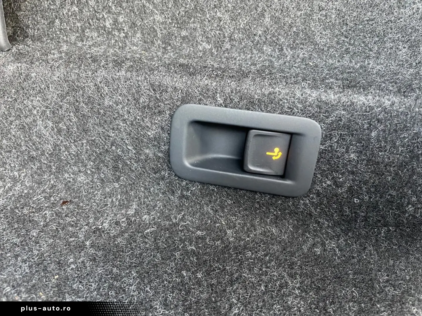 SKODA ENYAQ iV Coupe RS  AHK Panodach Soundsystem