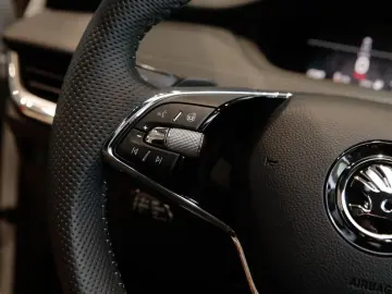 SKODA ENYAQ RS Coupe Suite 4x4 AHK Canton