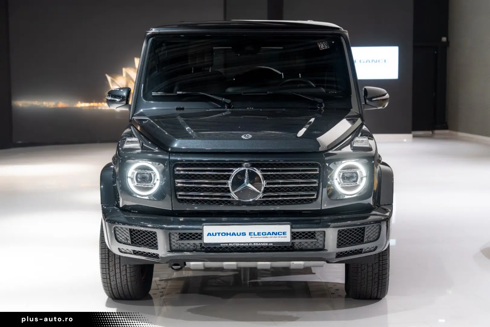 MERCEDES-BENZ G 500 SPORTABGAS BURMESTER MULTIBEAM NAPPA
