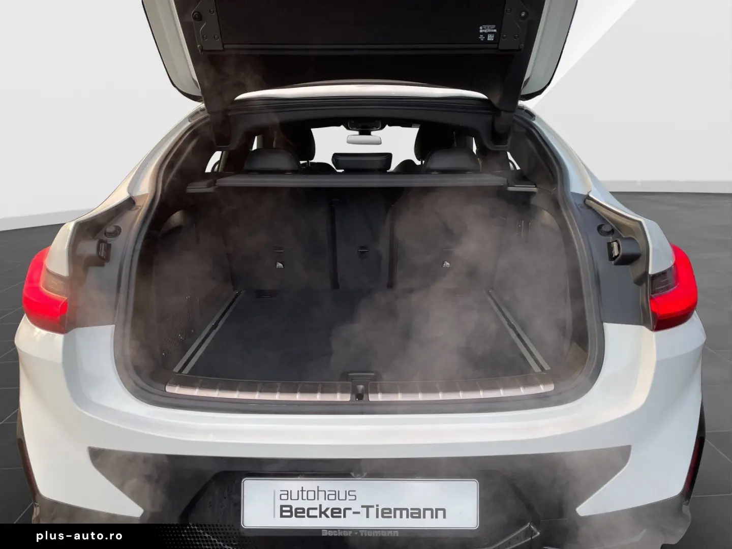 BMW X4 xDrive20i M Sport