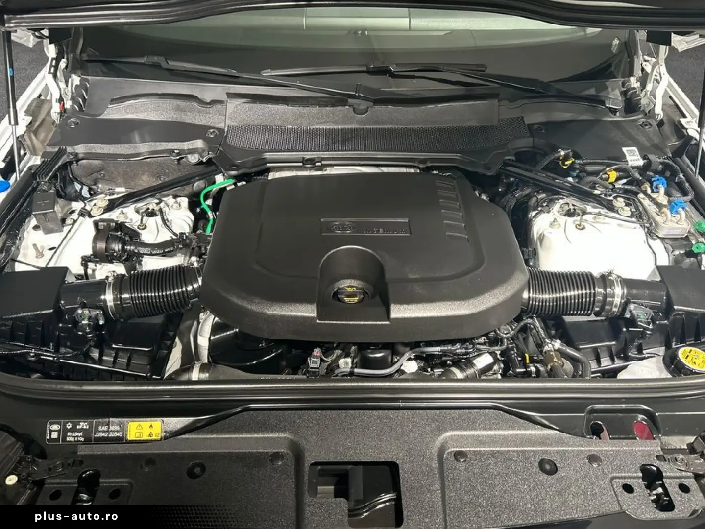 LAND ROVER Discovery D250 Dynamic SE