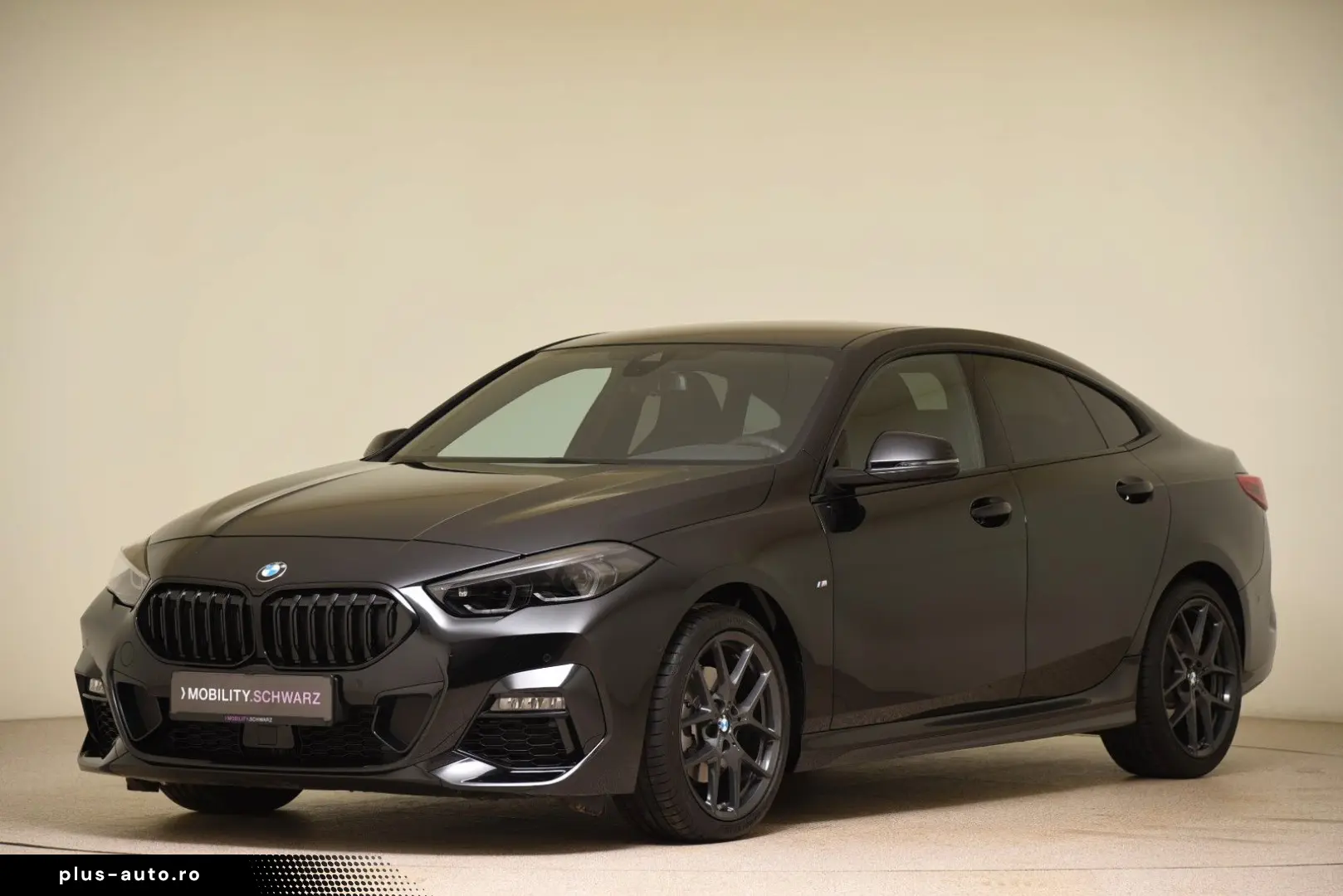 BMW 218i Gran Coupé M Sport DriveAss ParkAss H&K LED