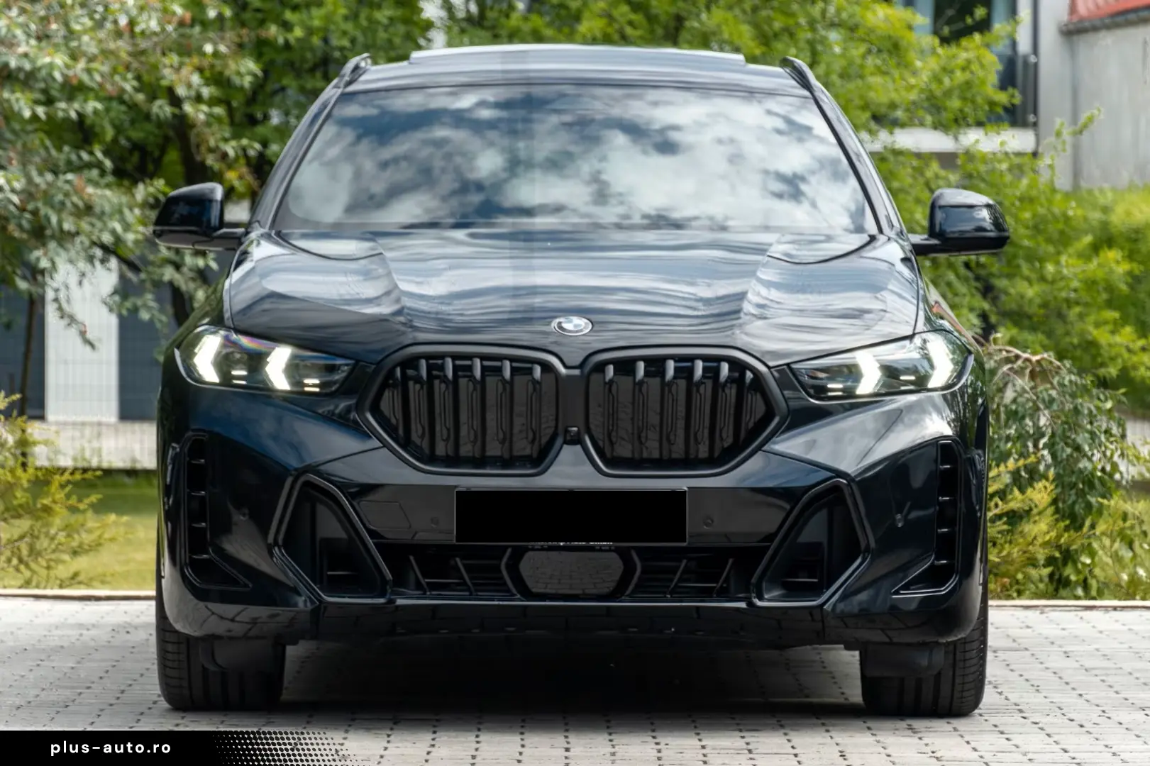 BMW X6 30d M SPORT.DR.ASS.LUFTFE