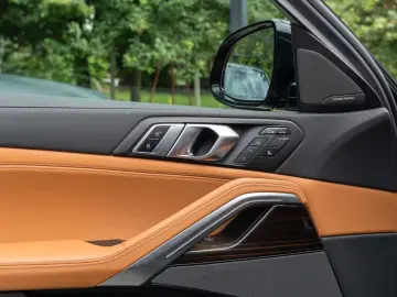 BMW X6 30d M SPORT.DR.ASS.LUFTFE