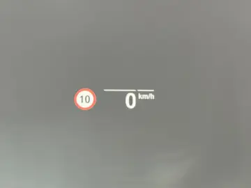 BMW X4 xDrive30d M-Sport NAV LASER