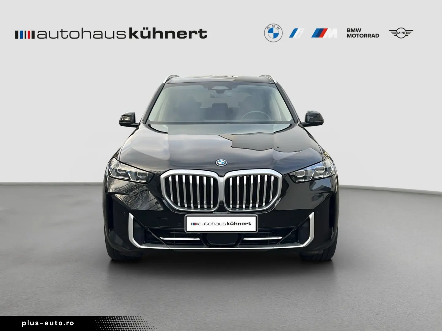 BMW X5 xDrive50e LuftFw. DrvAssPro StHzg AHK H&K RFK