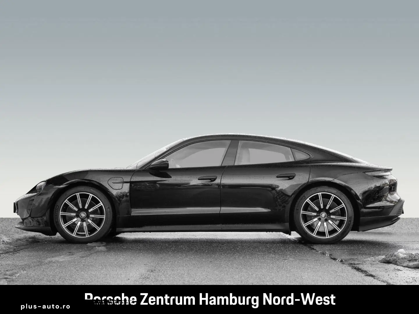 PORSCHE Taycan ParkAssistent Performancebatterie Plus