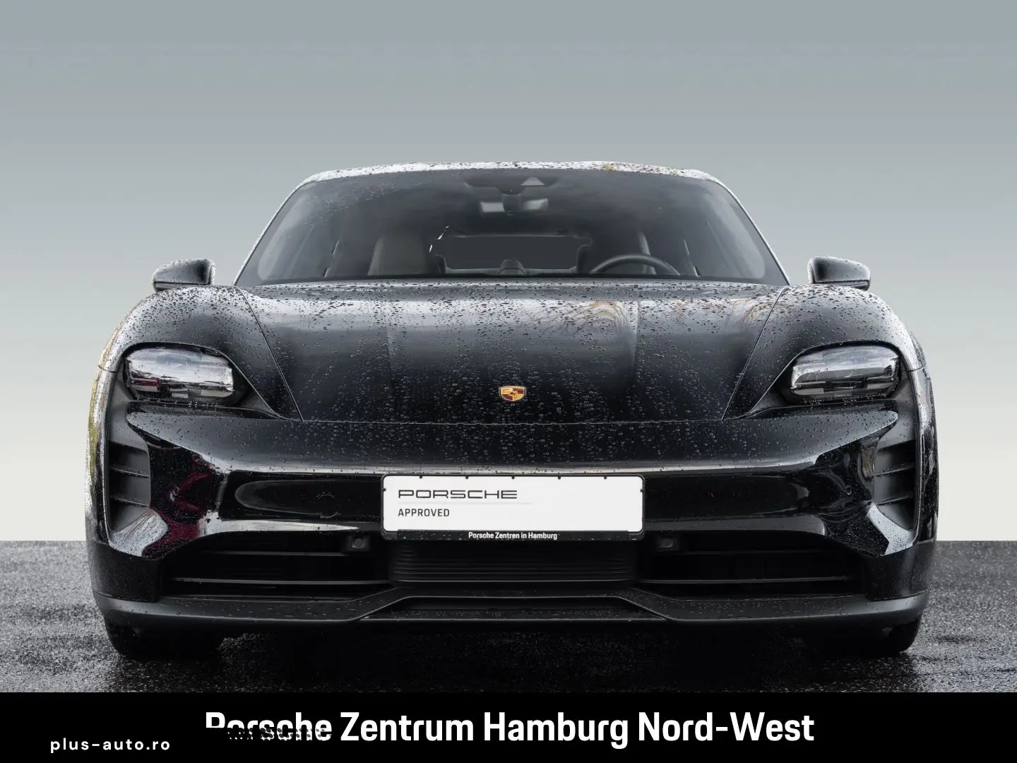 PORSCHE Taycan ParkAssistent Performancebatterie Plus