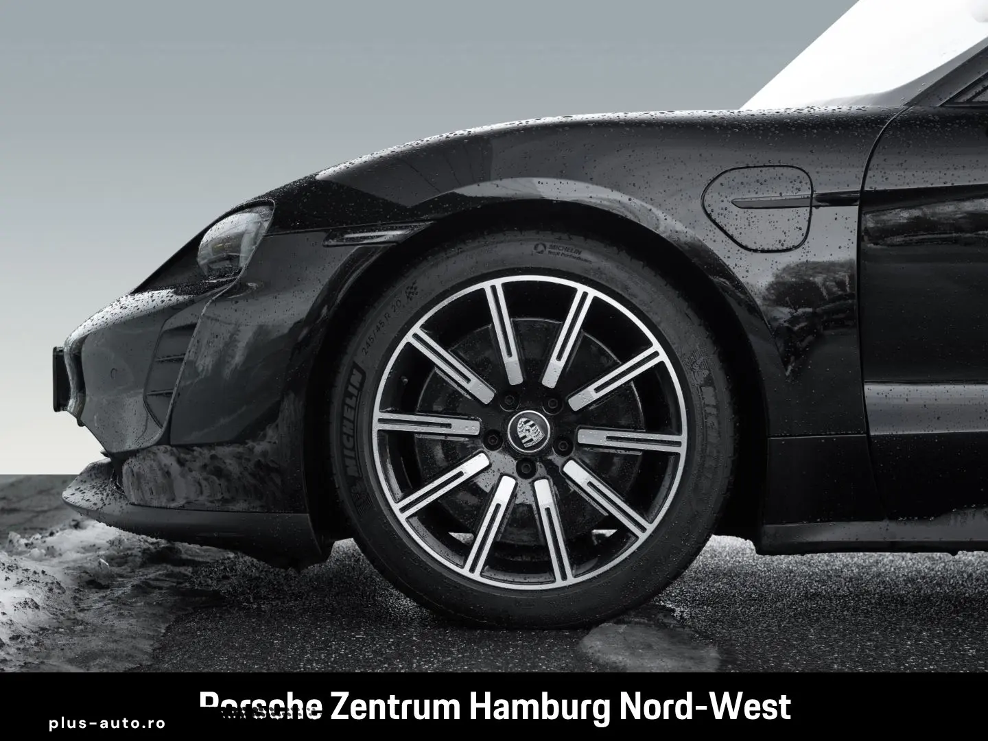 PORSCHE Taycan ParkAssistent Performancebatterie Plus