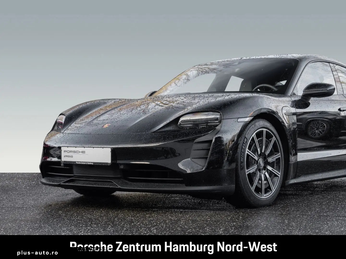 PORSCHE Taycan ParkAssistent Performancebatterie Plus