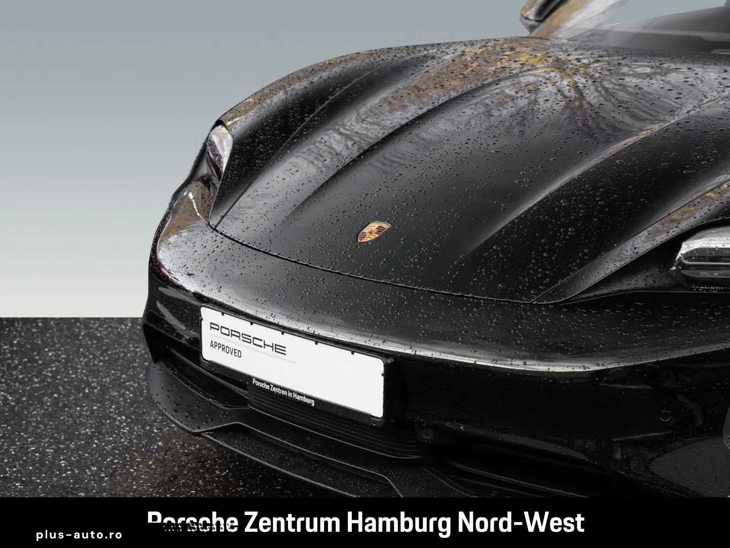 PORSCHE Taycan ParkAssistent Performancebatterie Plus