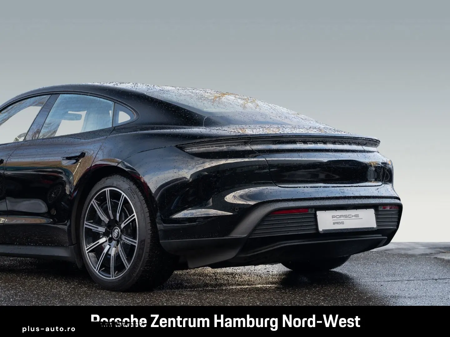 PORSCHE Taycan ParkAssistent Performancebatterie Plus