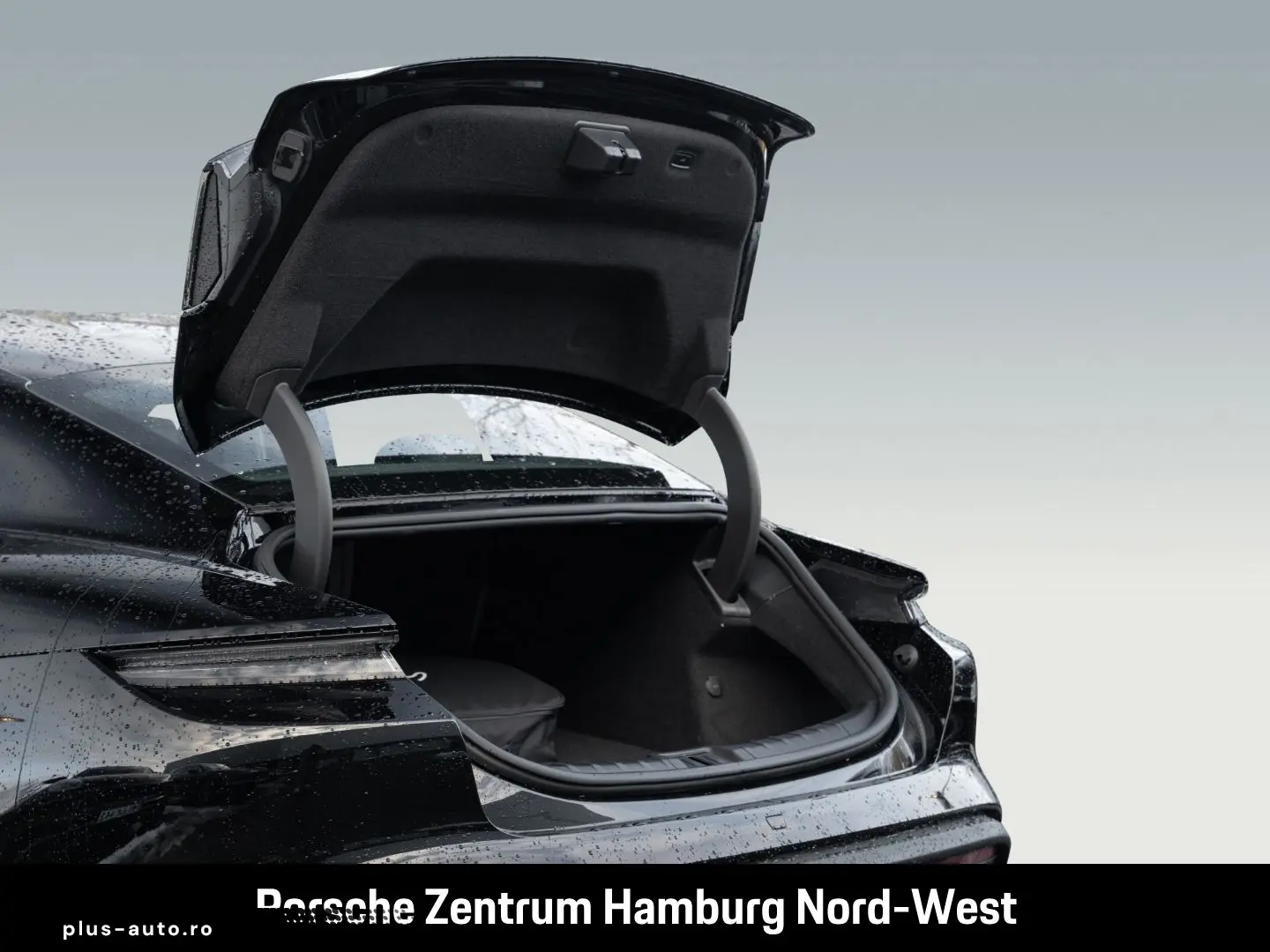 PORSCHE Taycan ParkAssistent Performancebatterie Plus