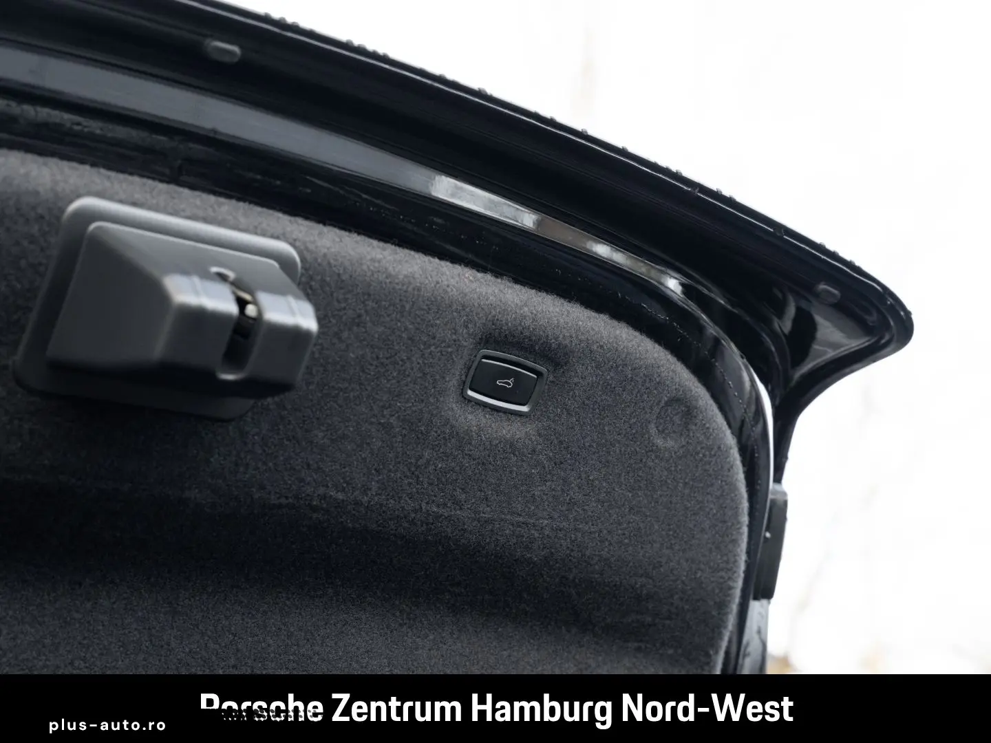 PORSCHE Taycan ParkAssistent Performancebatterie Plus