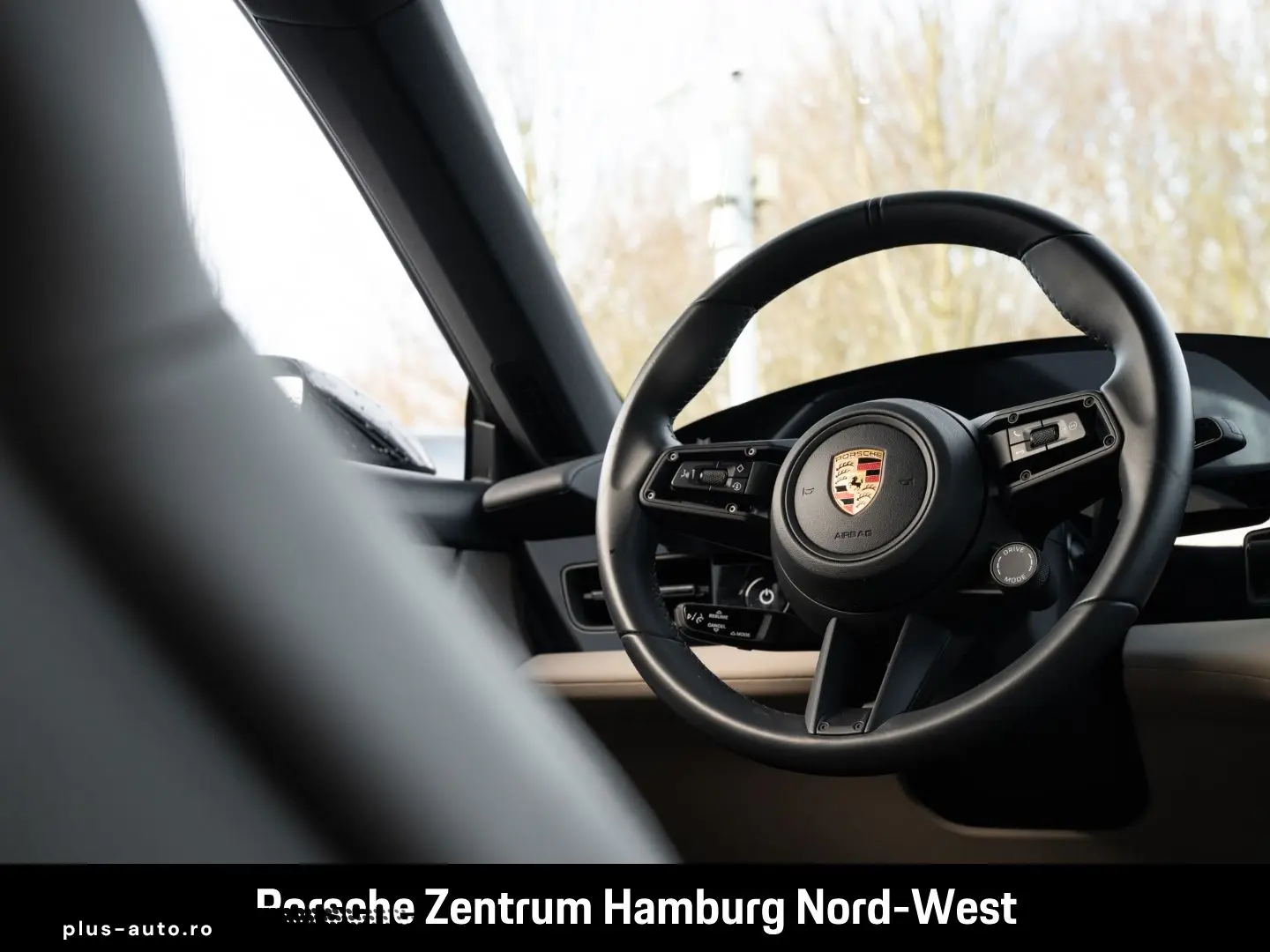 PORSCHE Taycan ParkAssistent Performancebatterie Plus