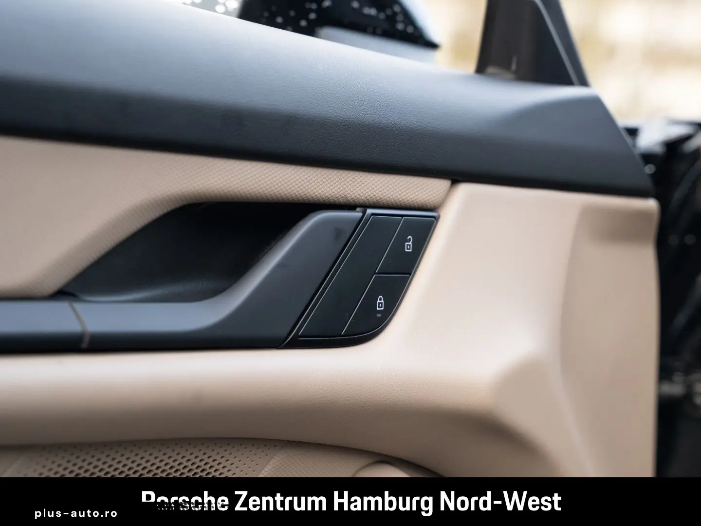 PORSCHE Taycan ParkAssistent Performancebatterie Plus