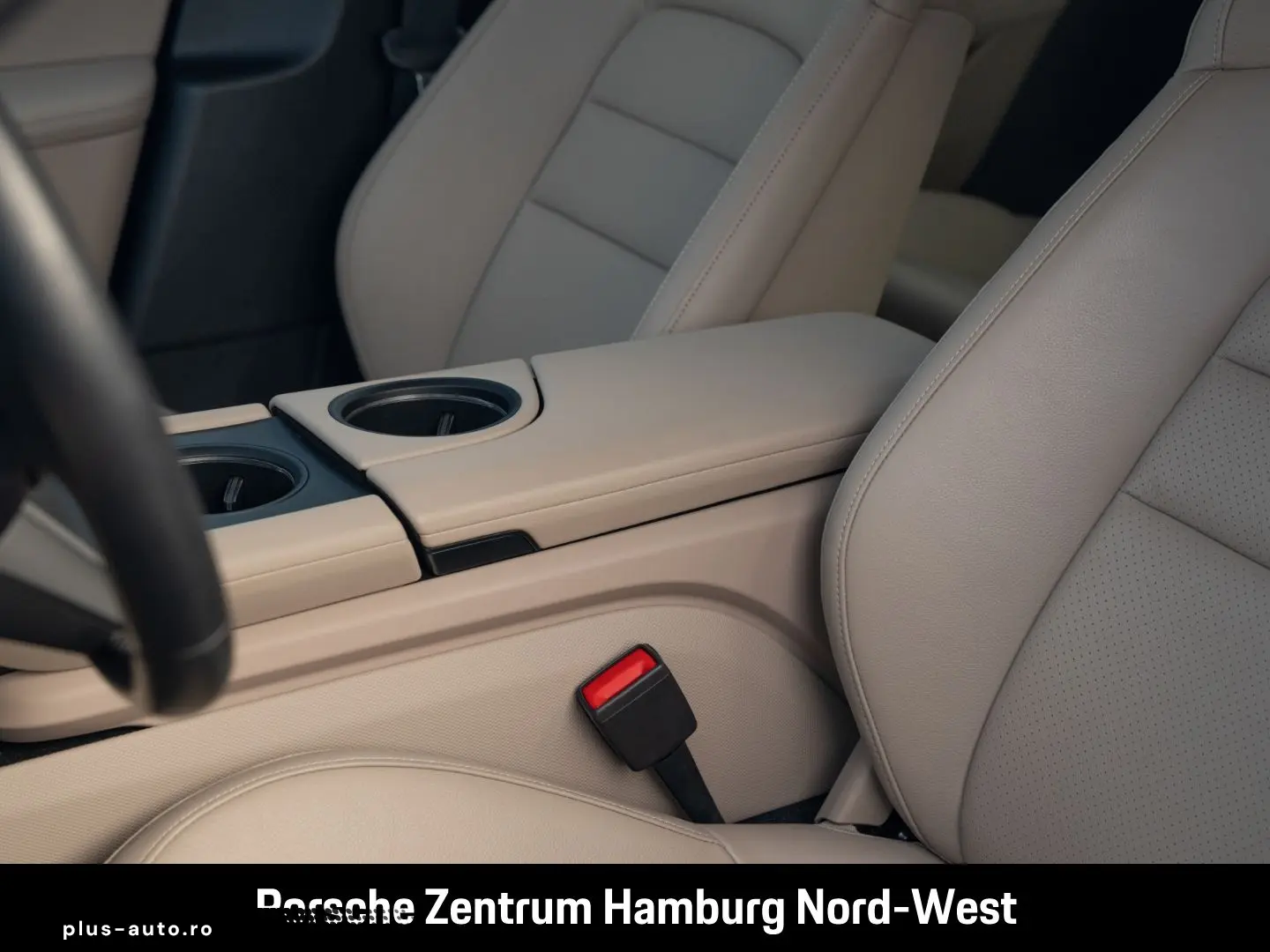 PORSCHE Taycan ParkAssistent Performancebatterie Plus