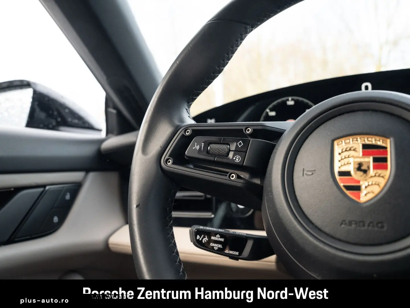 PORSCHE Taycan ParkAssistent Performancebatterie Plus