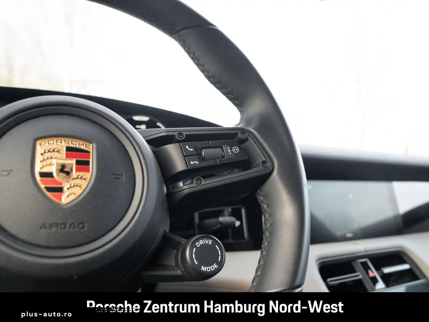 PORSCHE Taycan ParkAssistent Performancebatterie Plus