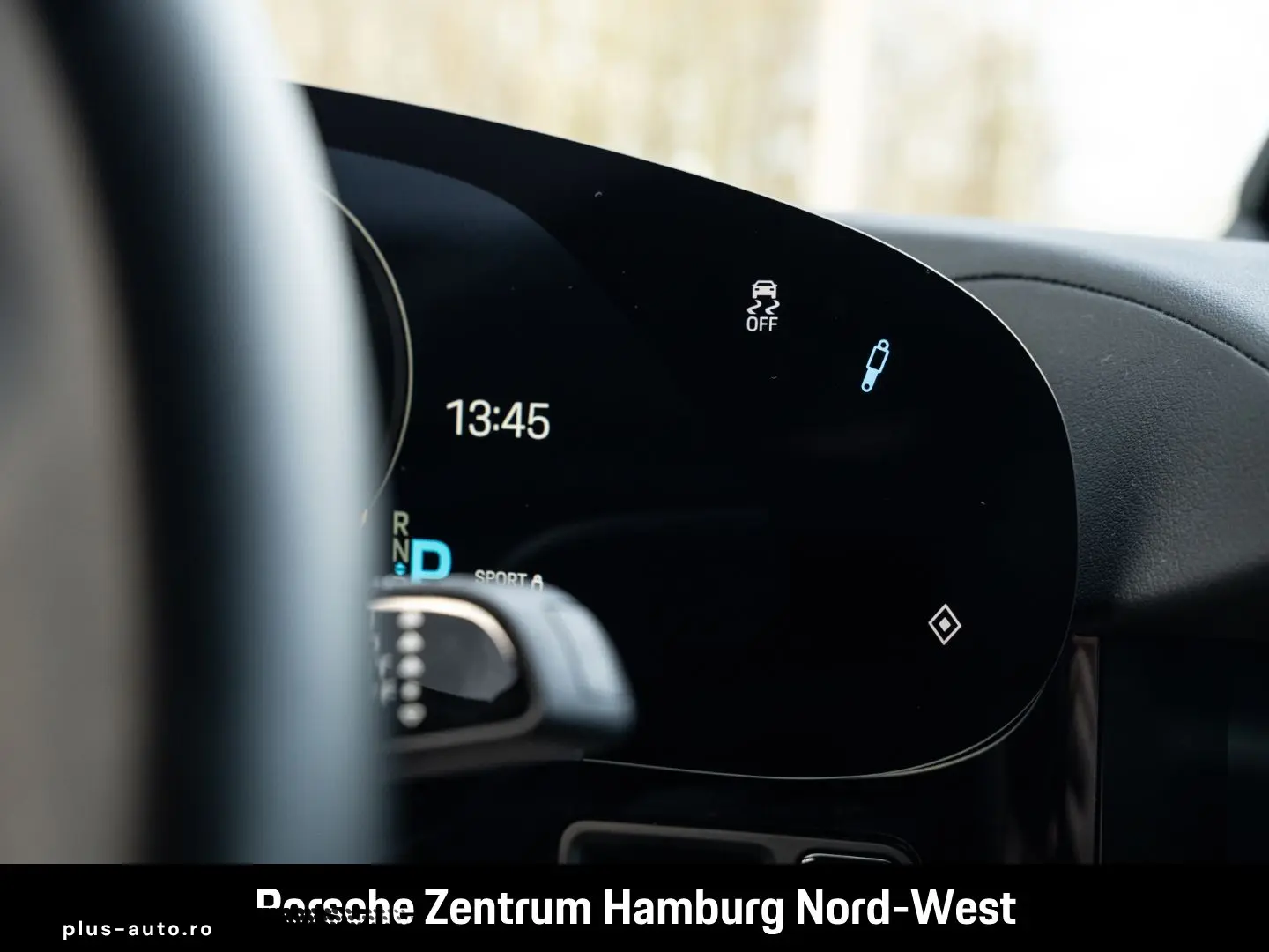 PORSCHE Taycan ParkAssistent Performancebatterie Plus