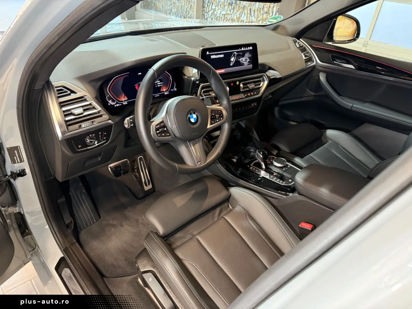 BMW X4 xDrive 20i M Sport~AHK~KAMERA 360 ~LEDER~