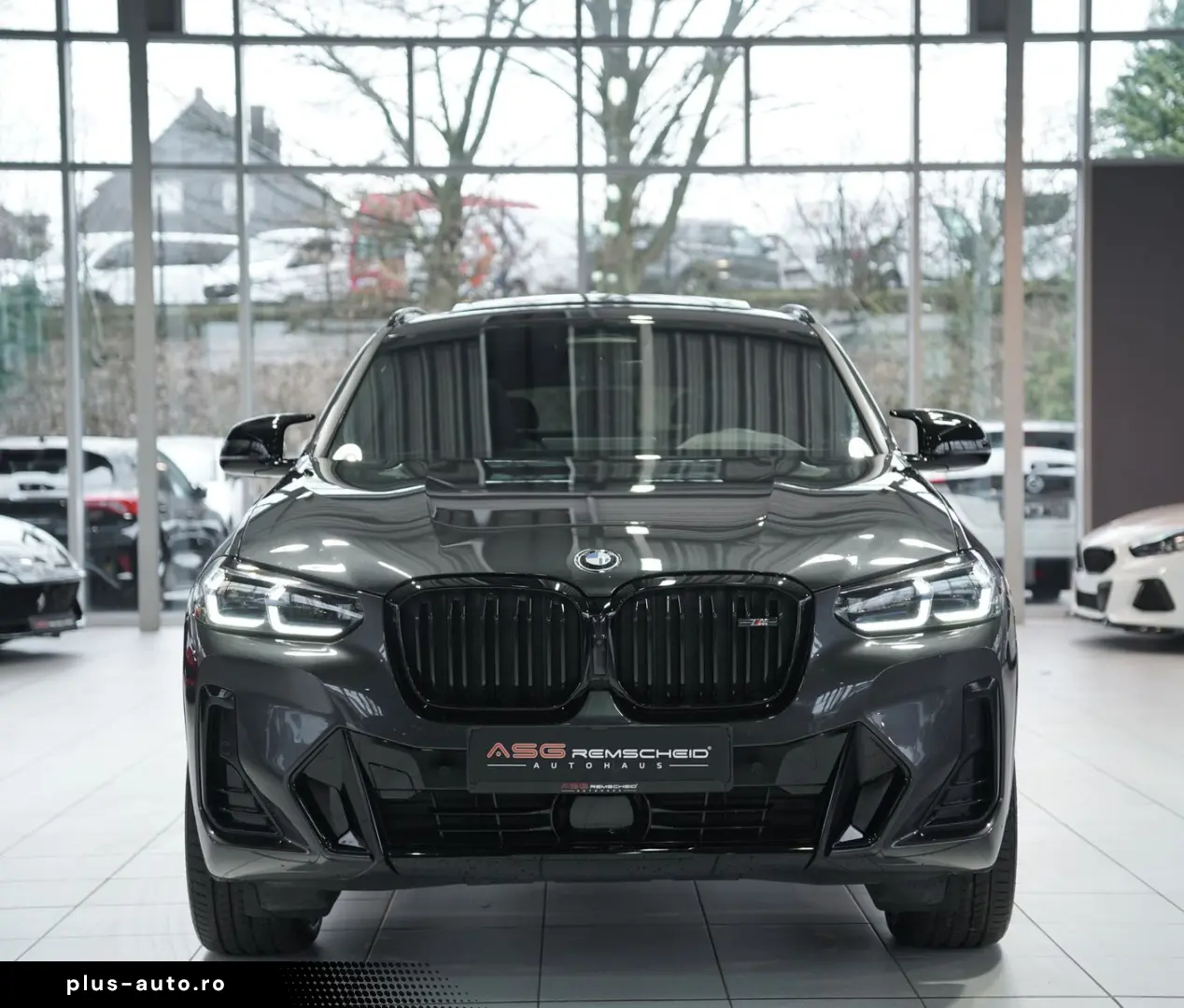 BMW X4 M40 d  1.H  AHK  Pano  H-UP  Memory  H&K