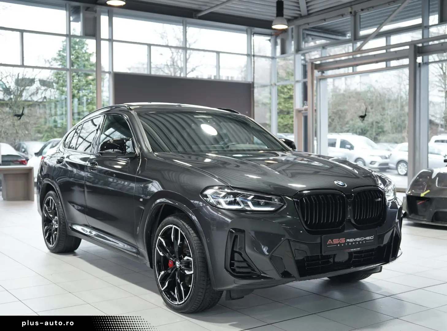 BMW X4 M40 d  1.H  AHK  Pano  H-UP  Memory  H&K